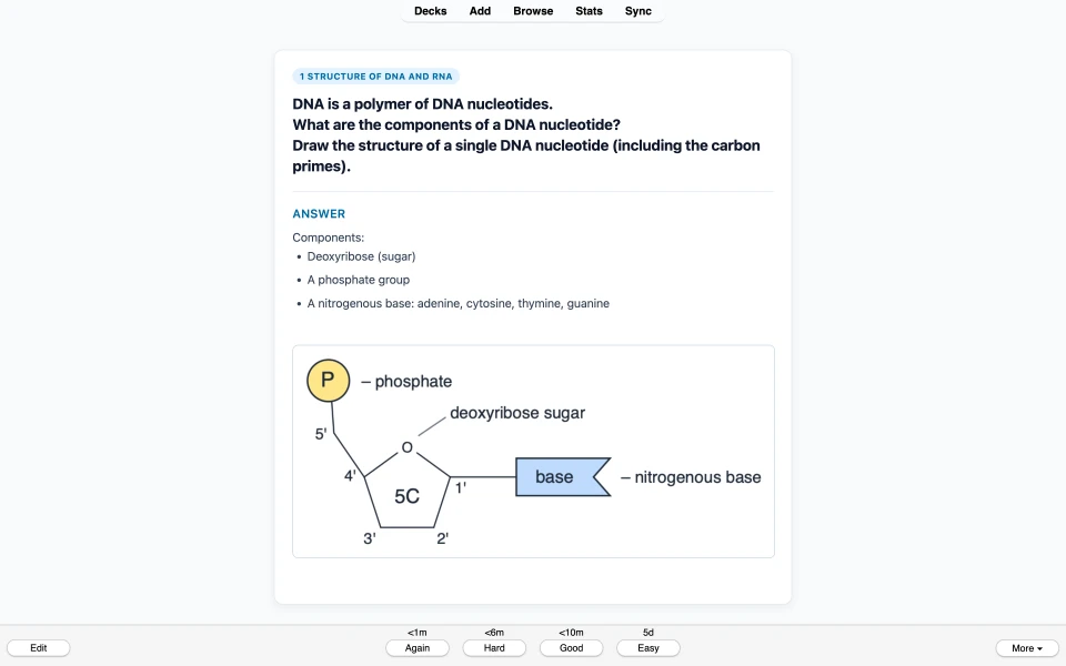 Card on the components of a DNA nucleotide, with a labelled nucleotide diagram showing the carbon primes.